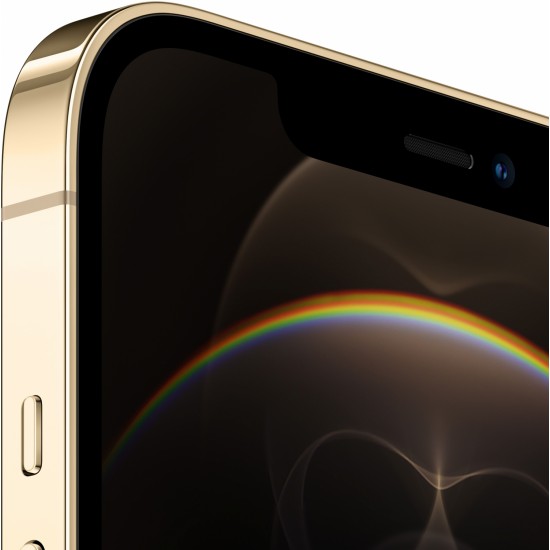 Mobile phone Apple iPhone 12 Pro Max 256GB Gold wholesale in Europe