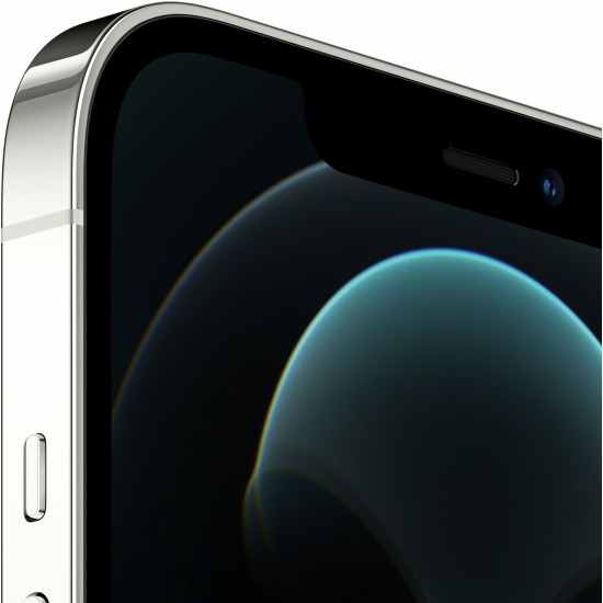 Mobile phone Apple iPhone 12 Pro Max 128GB Silver wholesale in Europe